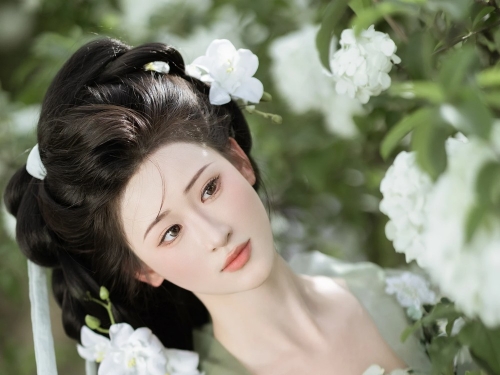 玉繡球花 江月月月