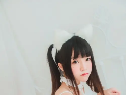 櫻桃喵《白貓》