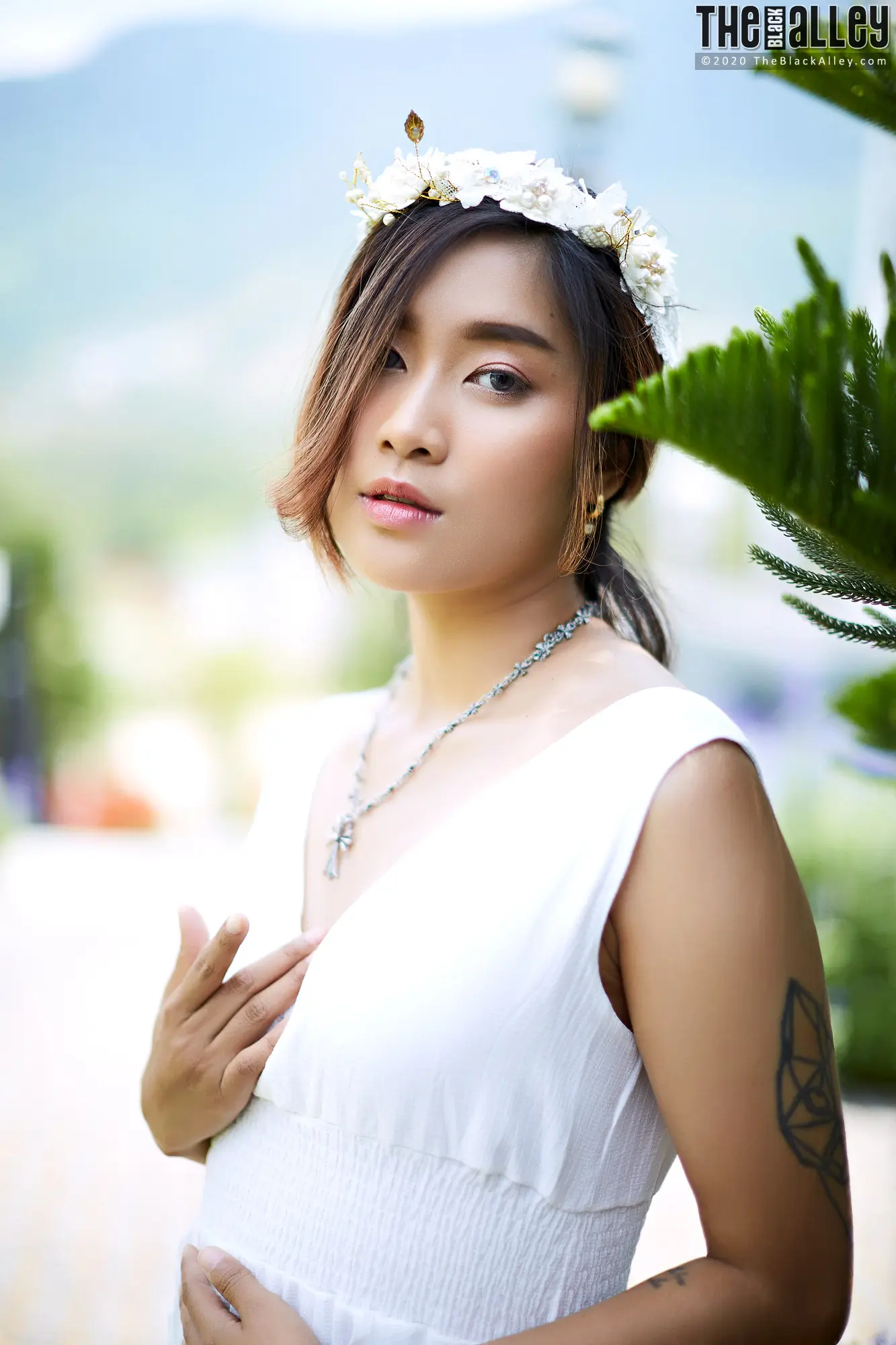 Apple The Black Alley Photobook Set.86