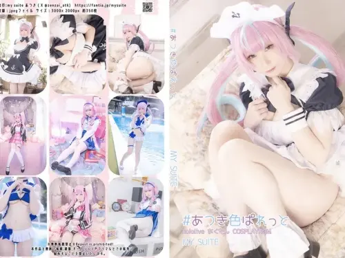 [MySuite (Atsuki)] Atsuki color palette