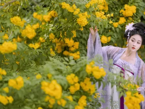 晚秋花 神賜杏杏