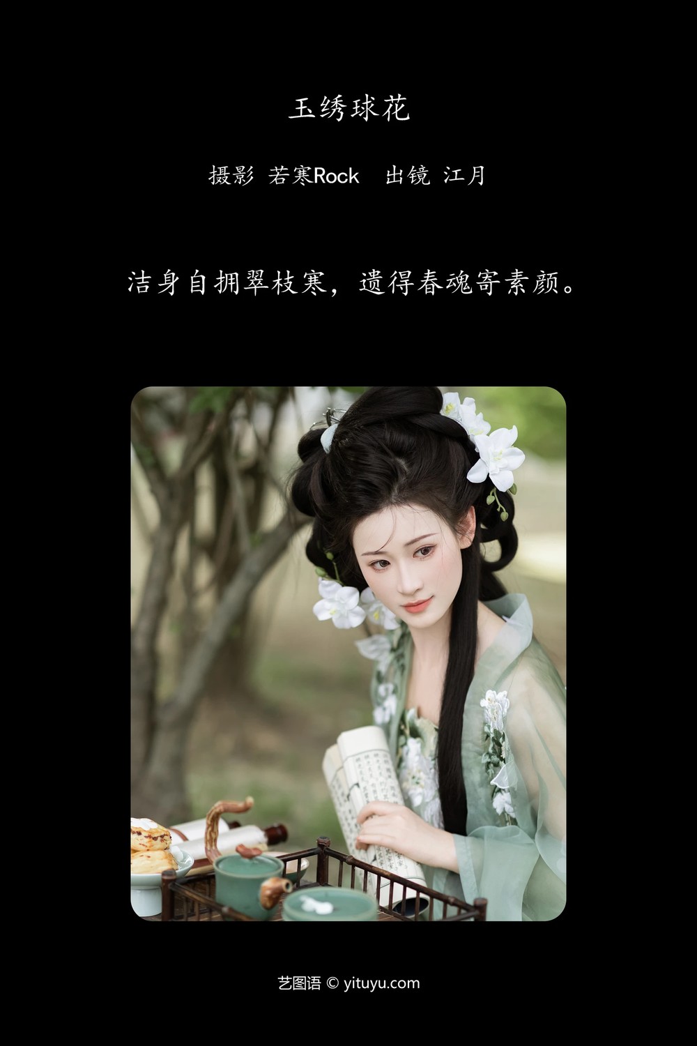 玉繡球花 江月月月