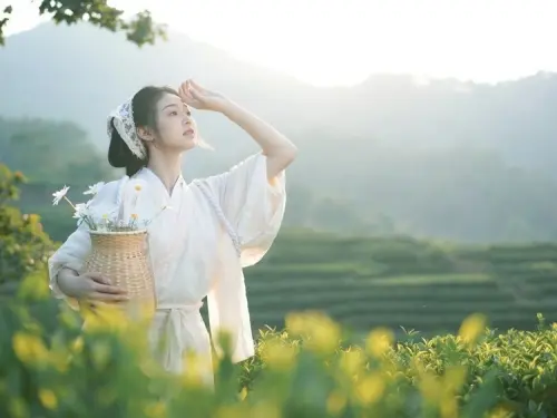 茶山 小羊墩墩